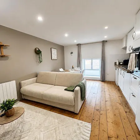 아파트 Appartements, Parking Prive Gratuit En Securisee 아이레수르라리스